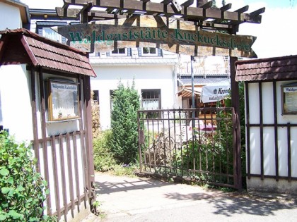 照片: Kuckucksdiele